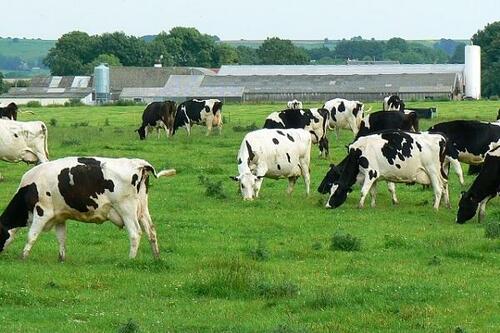 John Kerry Would Love For Farmers To Stop Farming